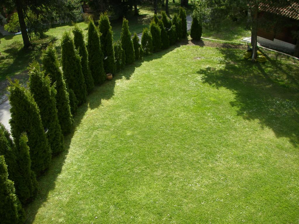 Apartments Vila Knez Zlatibor Dış mekan fotoğraf